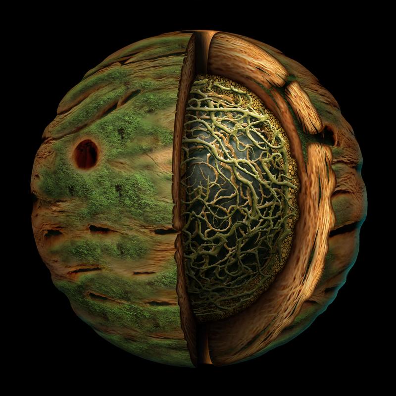 Ryzom game scene showing character and environment art of the type used in game advertising creatives